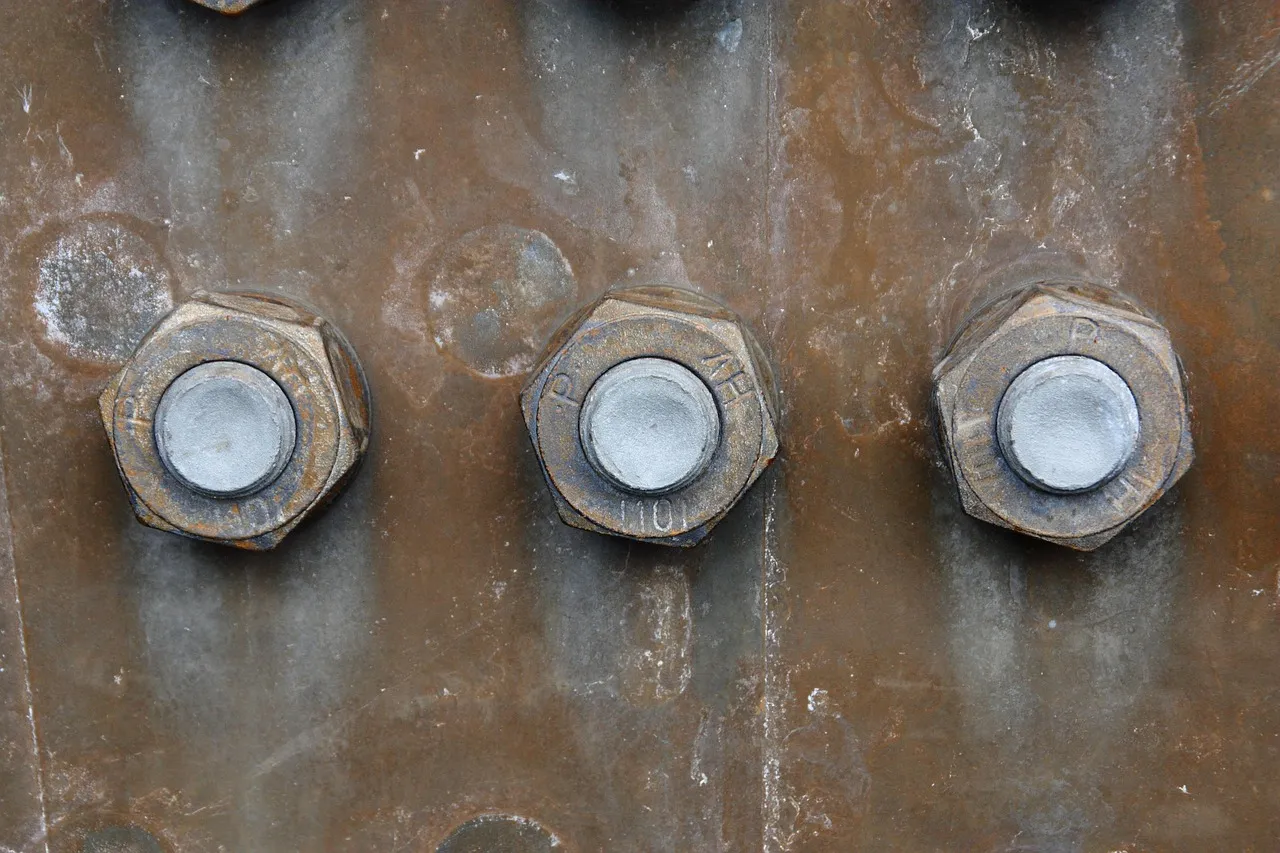 Technological and Mechanical Aspects of Cavazaque