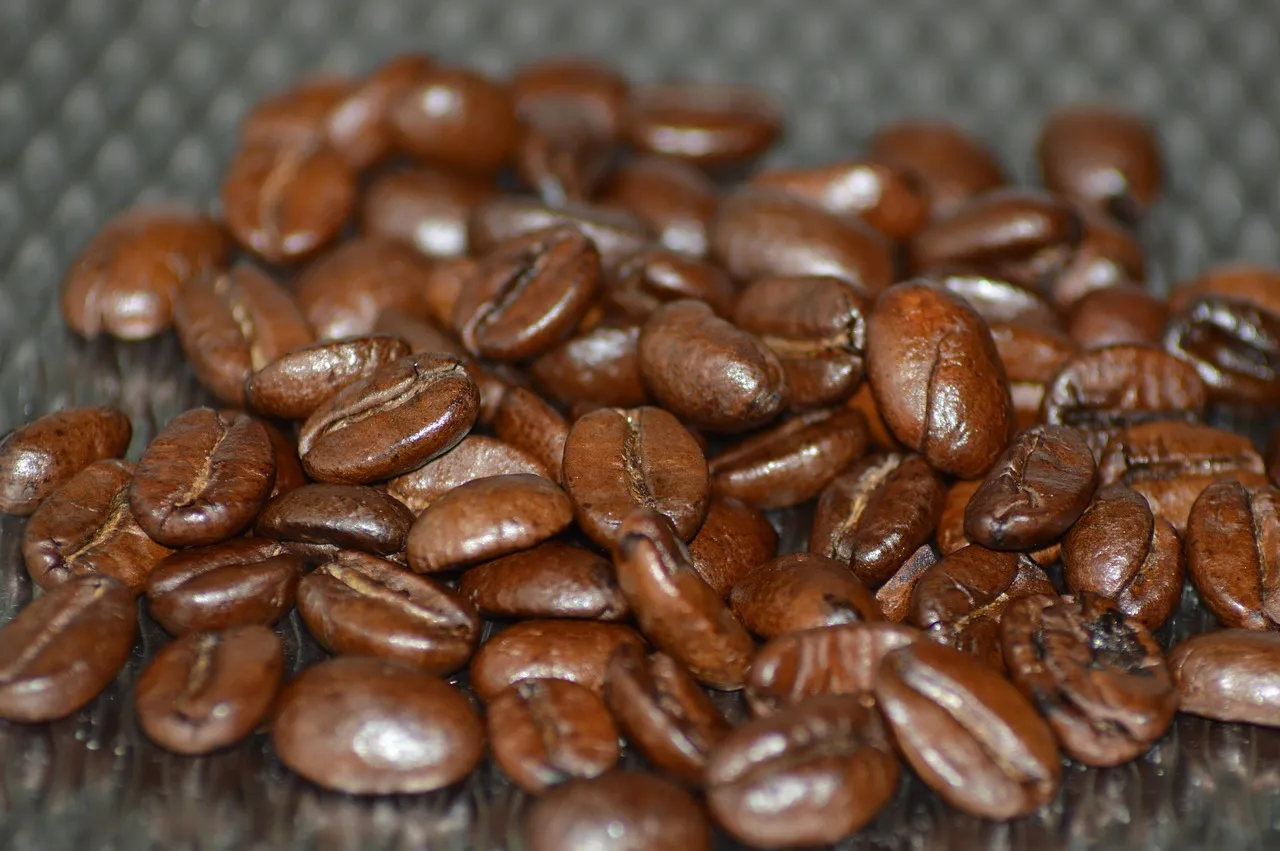 Overview Of The Kitchen Renovation Process