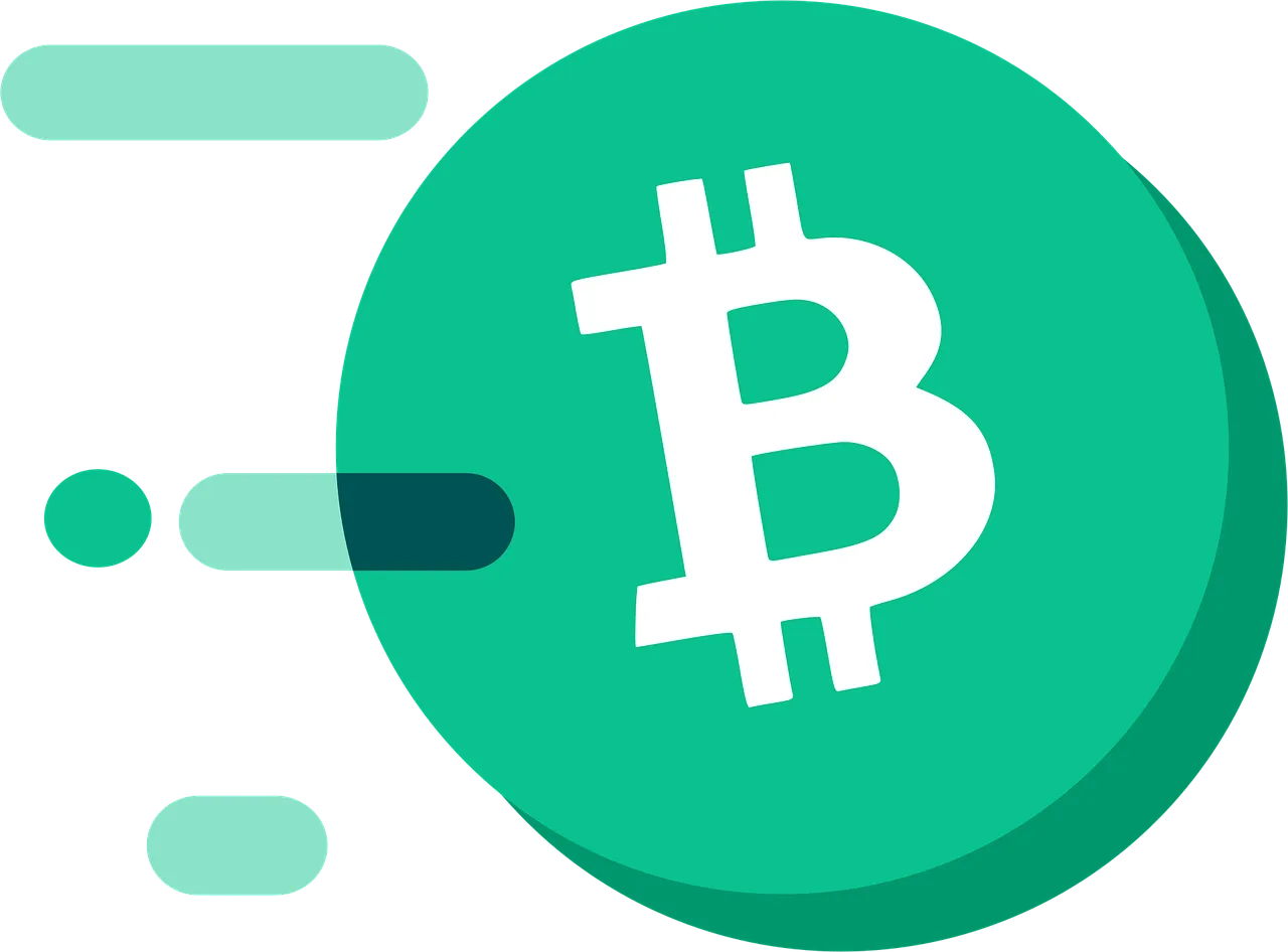 Key Features of this Coin Hareking