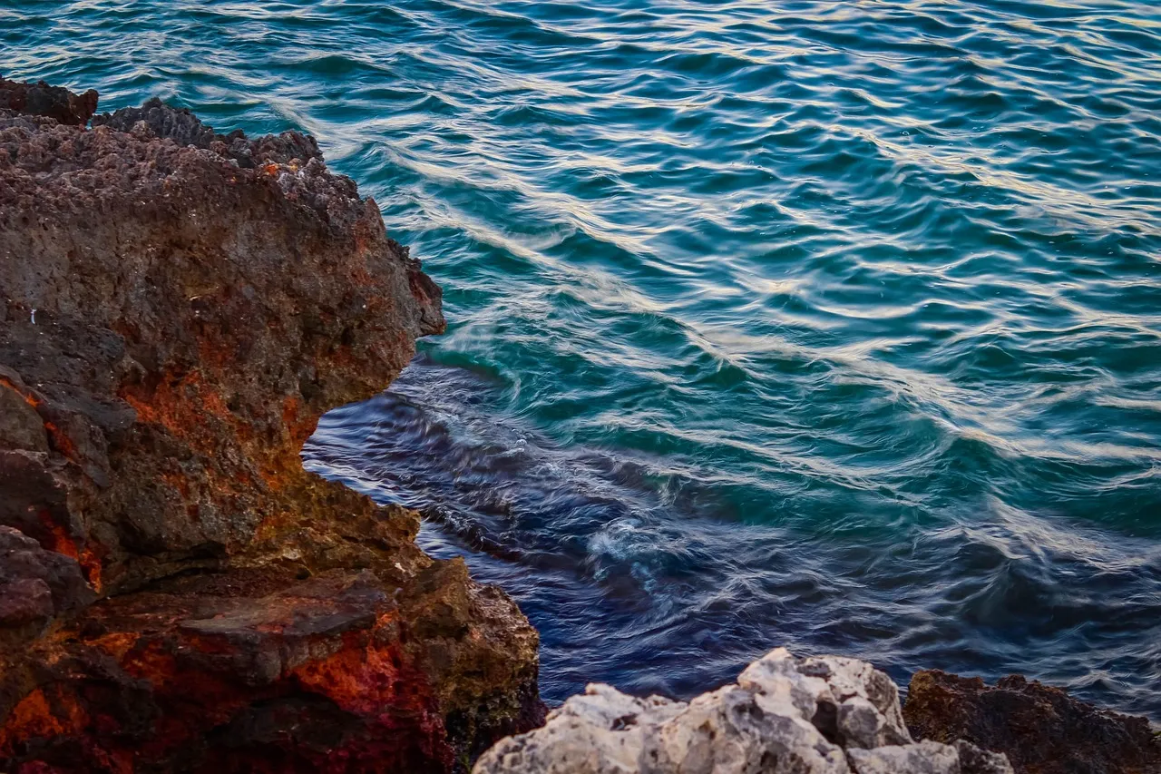 Garrafon Natural Reef Park Attractions and Activities