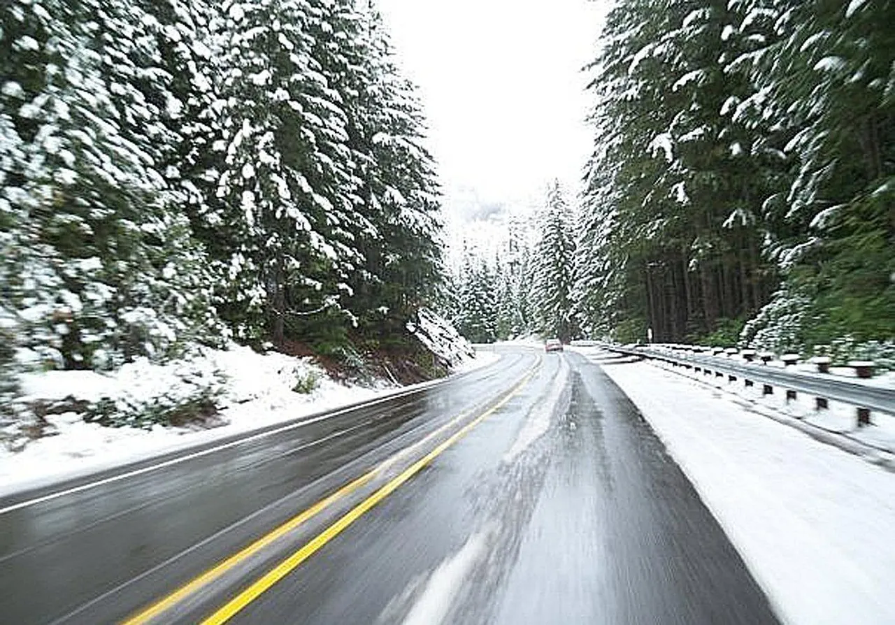 Understanding the Importance of Road Test Results