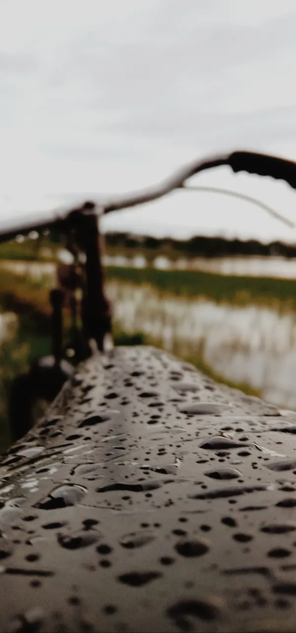 LaSRS Login Getting Started