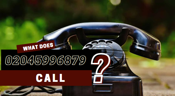 What Does It Represent 02045996879